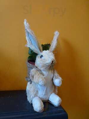 Norfolk Street Bakery