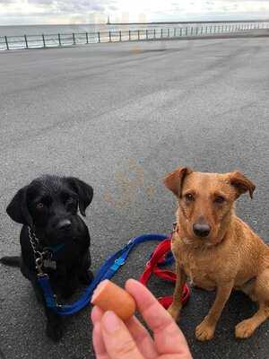 The Hideout Coffee House