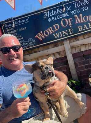 Word Of Mouth Wine Bar