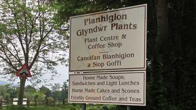 Glyndwr Plants Coffee Shop
