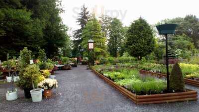 Glyndwr Plants Coffee Shop