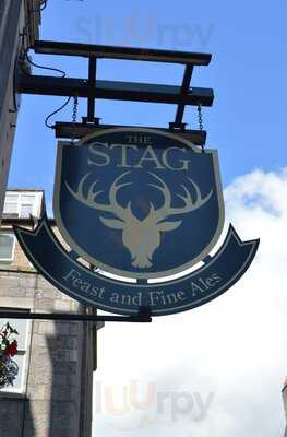 The Stag - Photo 8
