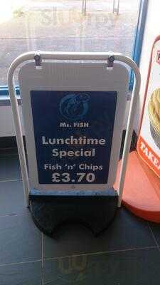 Mr Fish