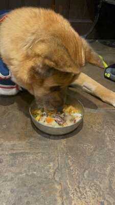 Ye Olde Fighting Cocks