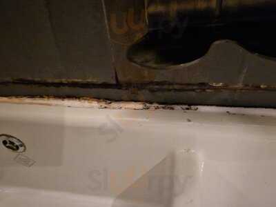 George Street Social