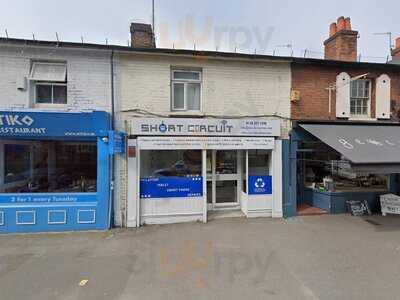 The Flowering Teapot