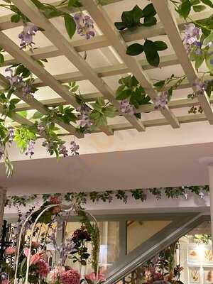 Giggling Squid - Bath