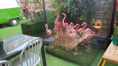 The Townhouse Secret Garden