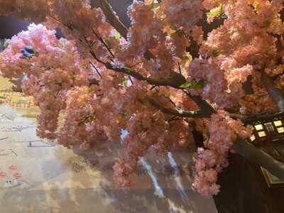 A Sushi Japanese And Korean Restaurant