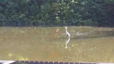 The Lake Restaurant