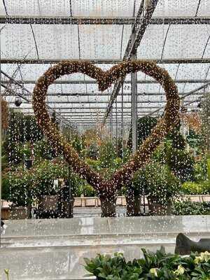 Barton Grange Garden Centre