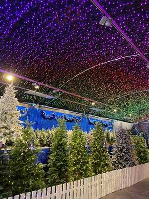 Barton Grange Garden Centre