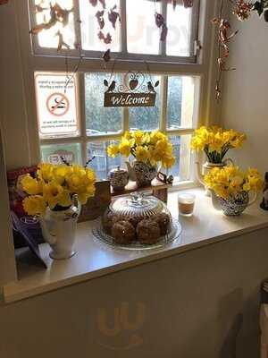 Java Square Coffee Co.