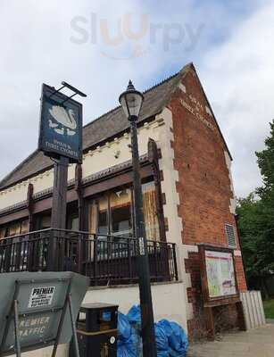 The Swan & Three Cygnets