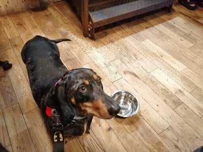 The Archway Fish & Chip Shop