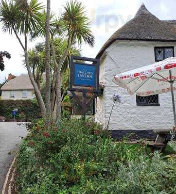 The Thatched Tavern