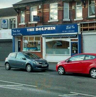 The Dolphin