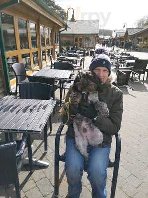 Cadwaladers - Trentham Gardens