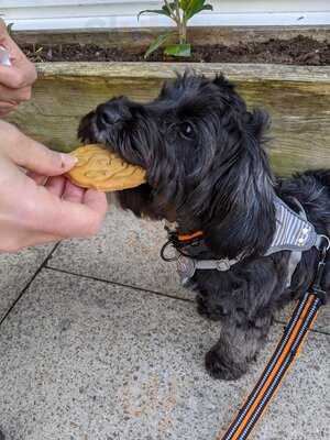 A C A N T E E N  Bar & Restaurant