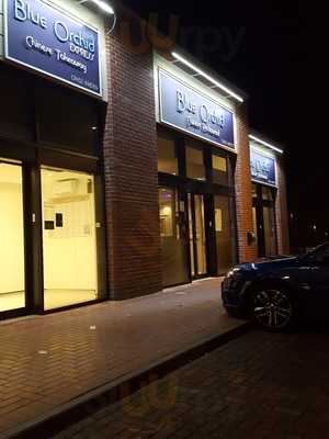 Blue Orchid Chinese Restaurant