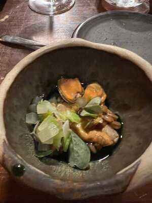 Where The Light Gets In