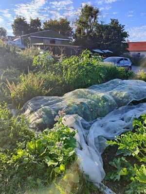 Castle Farm, Midford