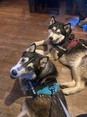 The Queen Inn Great Corby