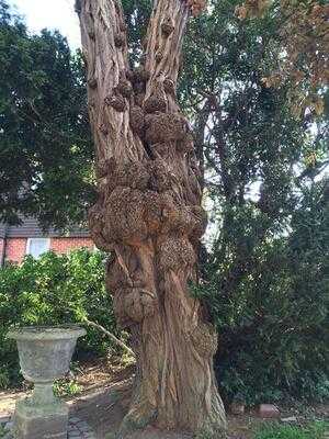 Victoria Hotel Carvery & Steak Grill