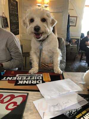 Peal O' Bells Pub, Holt