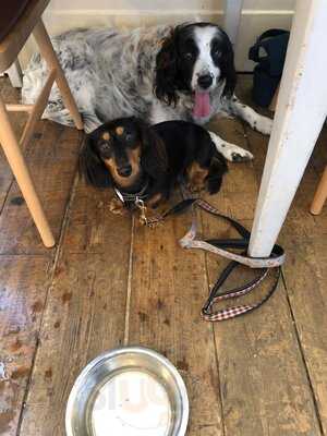 Boston Tea Party Exeter