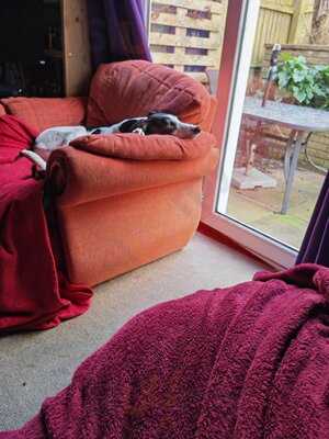 Boston Tea Party Exeter