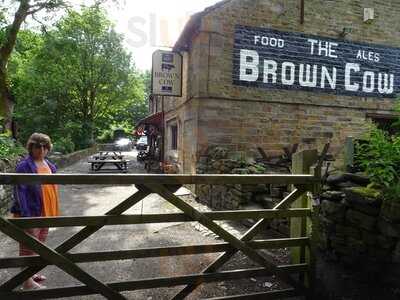 The Brown Cow