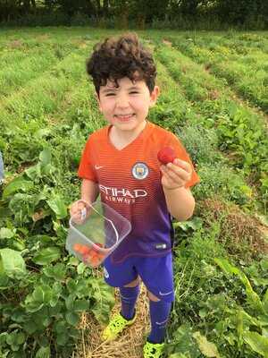 Kenyon Hall Farm Cafe