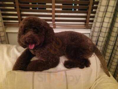 Fish And Chips At Weston Grove