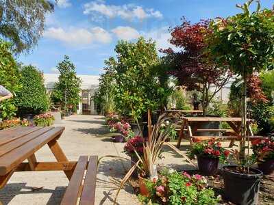 Cafe At Holland House