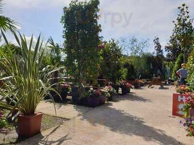 Cafe At Holland House