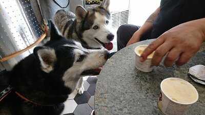 Aroma Coffee & Sandwich Shop