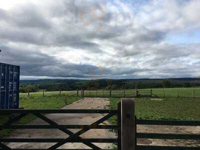 Bessiestown Vintage Tea