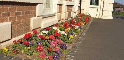 Jonathans In The Park