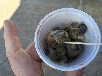 The Net Shop Jellied Eel Bar