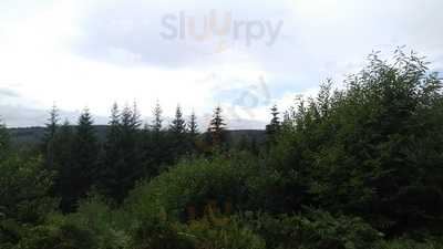 Bracelands Adventure Centre