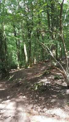 Bracelands Adventure Centre