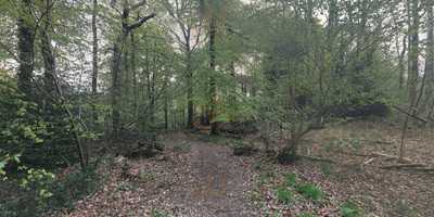 Bracelands Adventure Centre