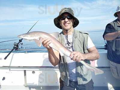 Steve's Fish & Chips Worthing