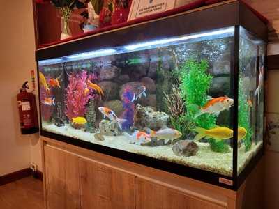 River View Chinese Restaurant