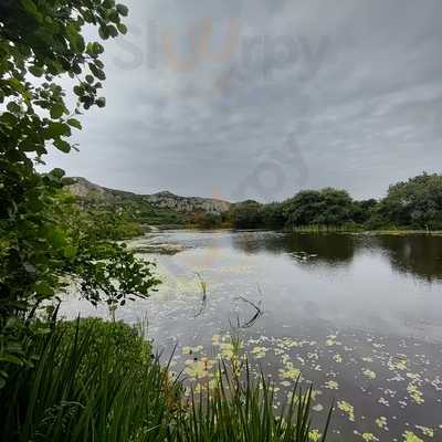 Breakwater Country Park Cafe