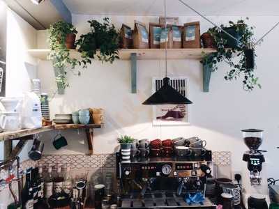 Bloom Coffee Company