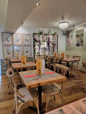 Giggling Squid - Windsor