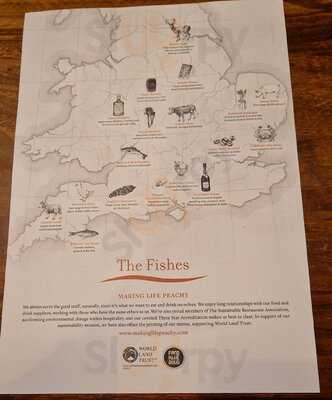 The Fishes