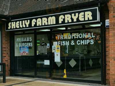Shelly Farm Fryer